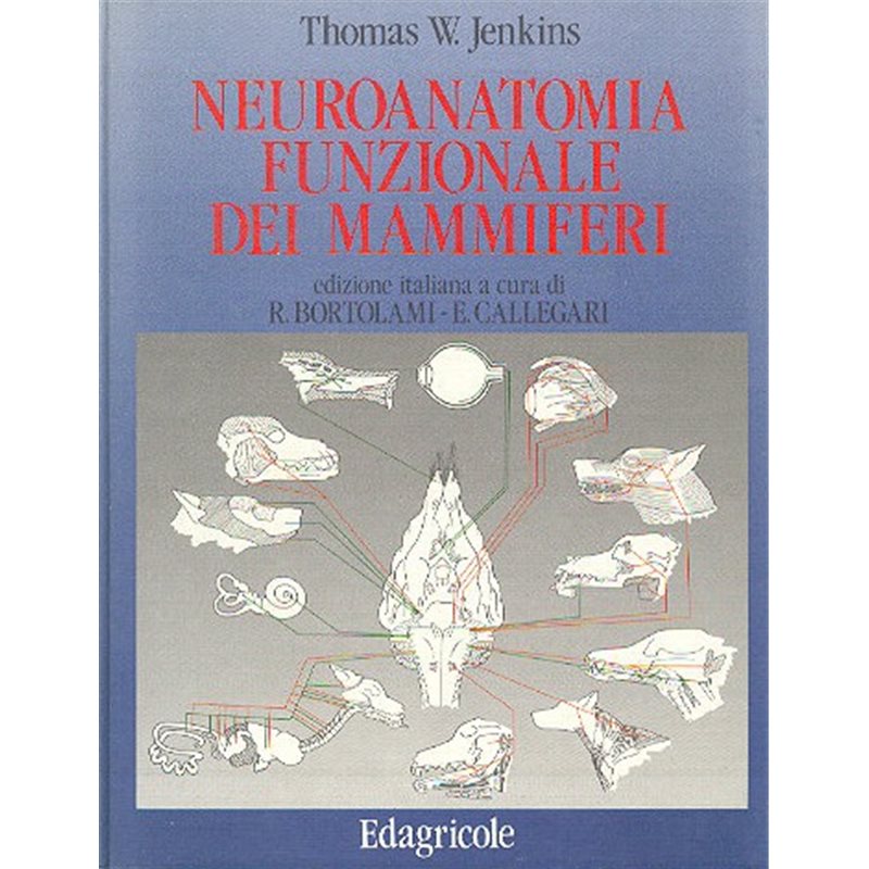 NEUROANATOMIA FUNZIONALE DEI MAMMIFERI